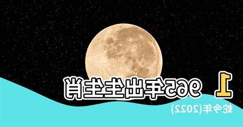 1965 年生肖幾歲
